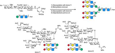 Recent Chemical and Chemoenzymatic Strategies to Complex-Type N-Glycans